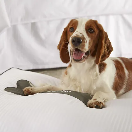 The Westin La Quinta Golf & Spa, Benahavis, 5*