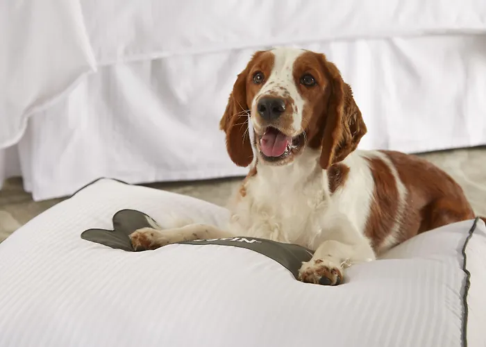 The Westin La Quinta Golf & Spa, Benahavis, 5*